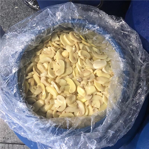 蘑菇制品 