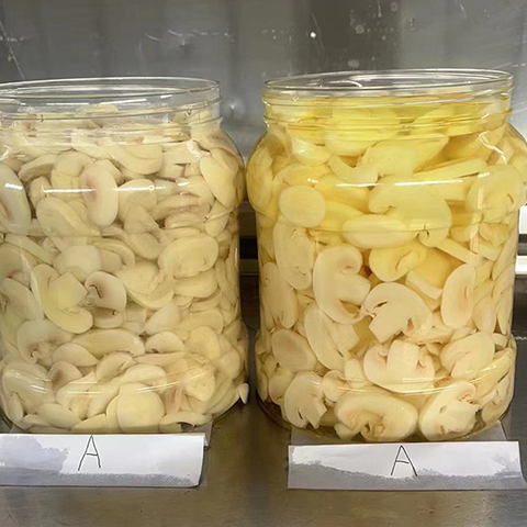 蘑菇制品 