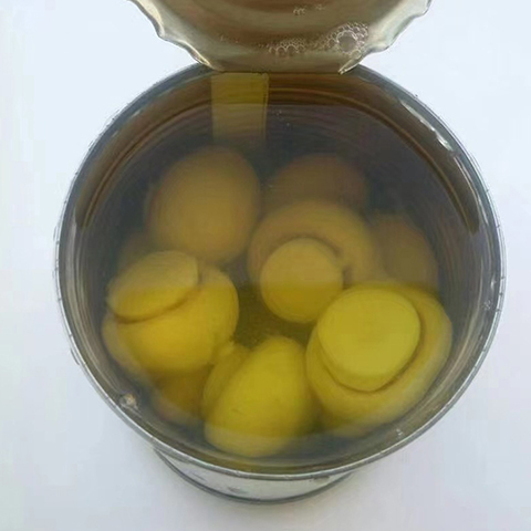 蘑菇罐头 
